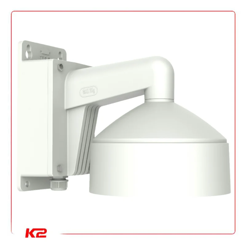 DS-1273ZJ-DM30-B-01